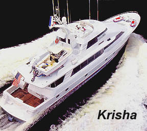The Krisha MY.