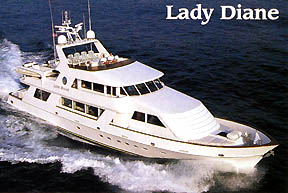 The Lady Diane MY